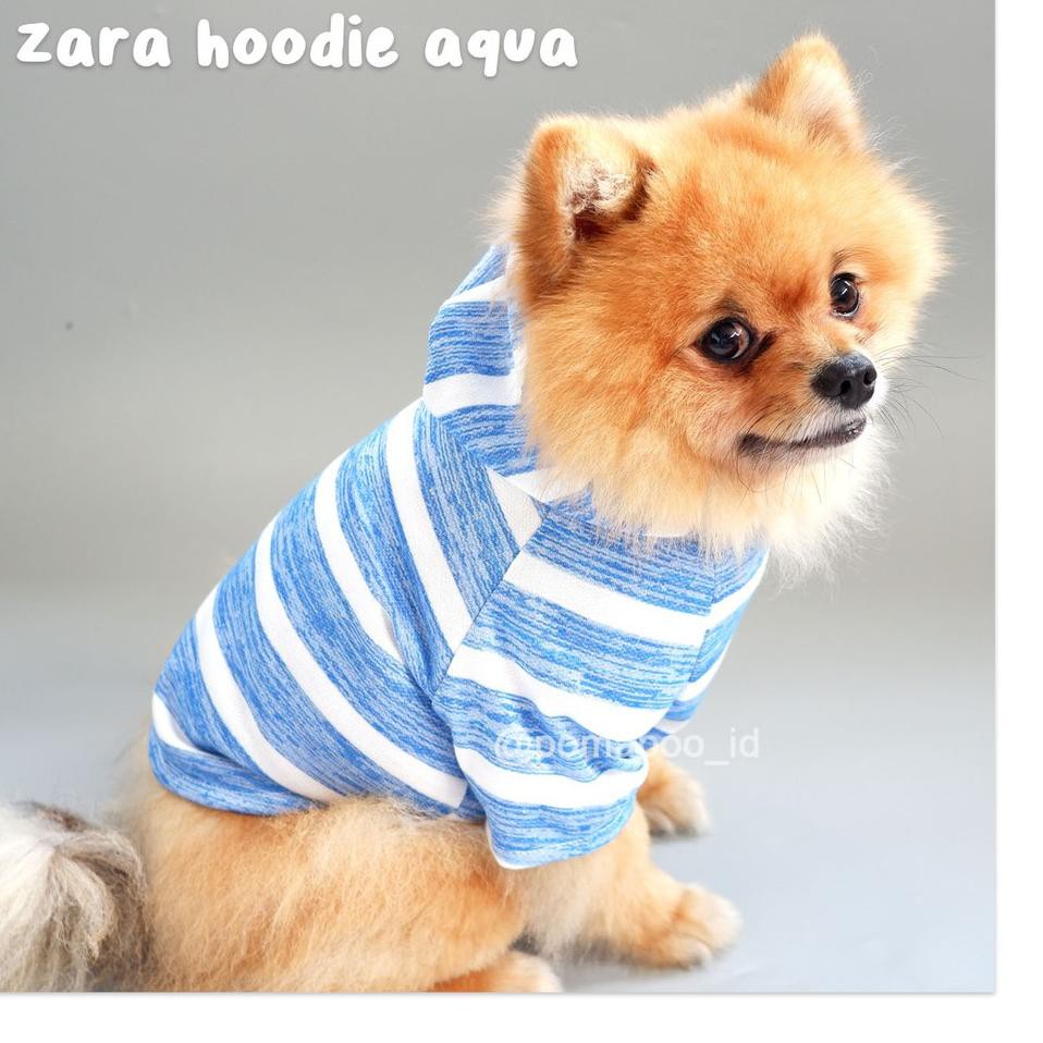 ZARA Áo Hoodie In Hình Mèo Thời Trang Cao Cấp Cho Nam