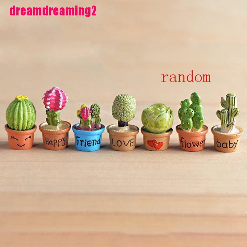 Cây Xương Rồng Mini Trang Trí Sân Vườn