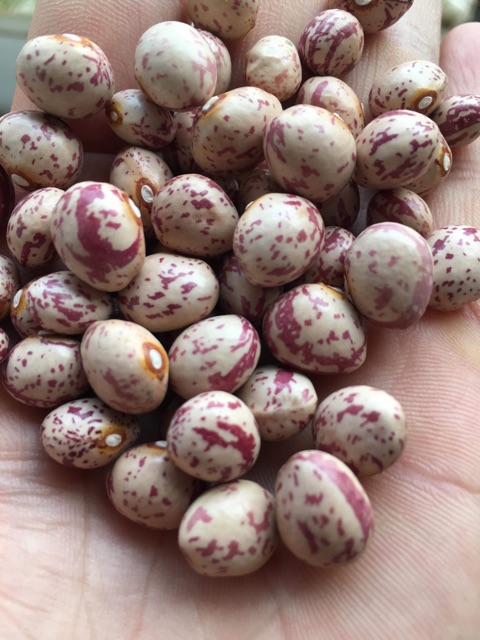 Các loại đỗ, hạt, vừng quê thơm ngon gói 200g