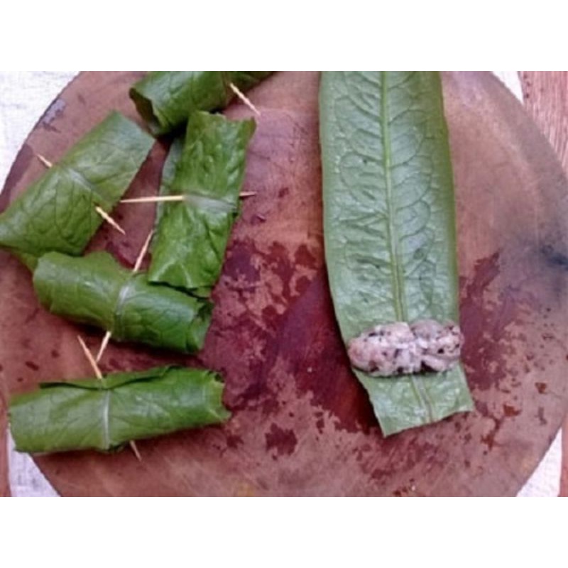 Hạt giống rau diếp thơm