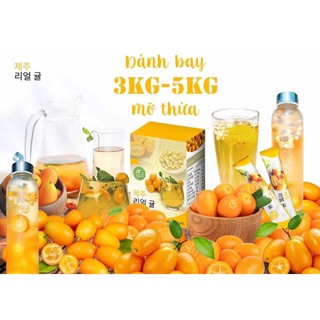 SỈ 5 hộp TRÀ TẮC JEJU HÀN QUỐC