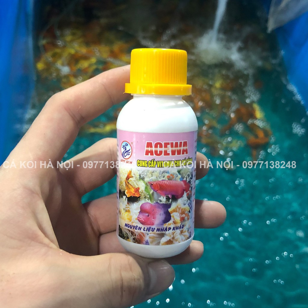 Cung cấp Vitamin cho Cá Cảnh - ACEWA [Tặng kèm móc khóa hình Cá Koi]