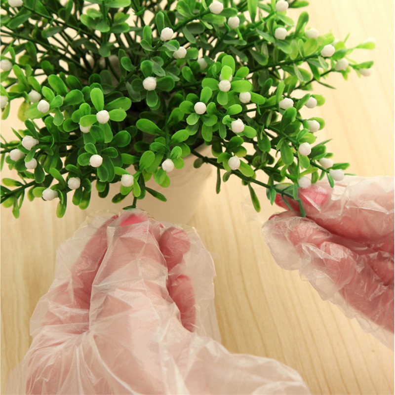 Set 50/100 Găng Tay Nylon Dùng Một Lần Tiện Dụng Thân Thiện Với Môi Trường