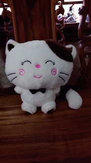 Mèo MengMeng 4 sắc thái