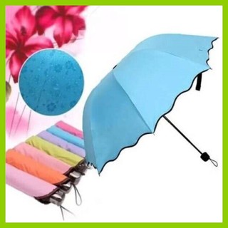 Dù Đi Mưa Nở Hoa Khi Gặp Nước