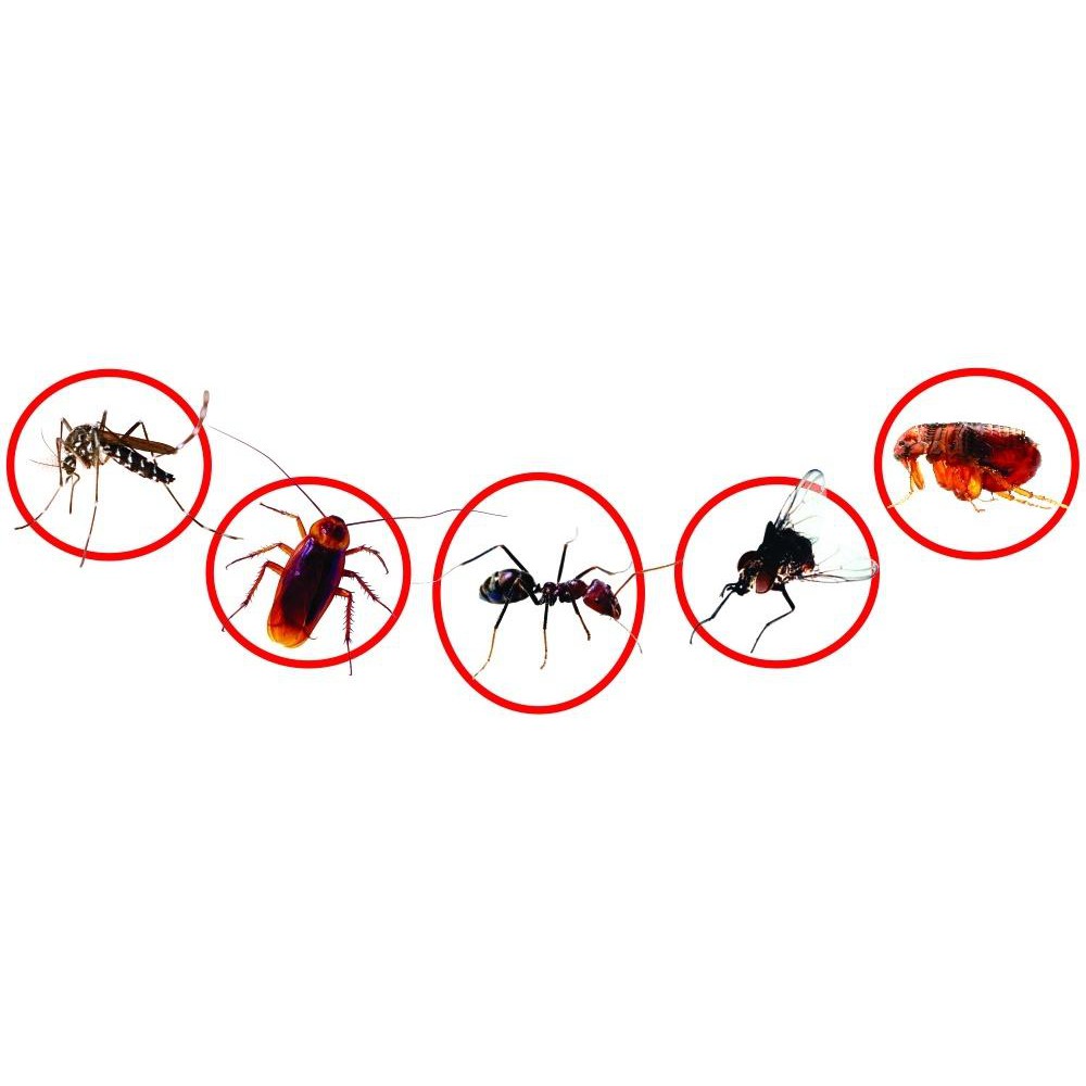 Thuốc diệt muỗi côn trùng Y tế PERMETHRIN 50EC nhập khẩu Anh Quốc chai 100ml