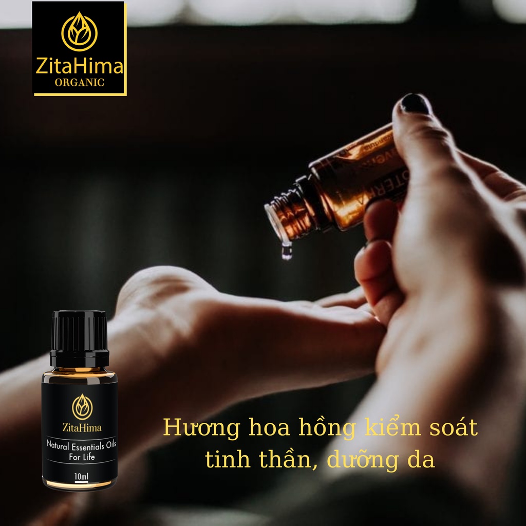 Tinh dầu Thiên Nhiên Hoa Hồng ZitaHima dung tích 10ml