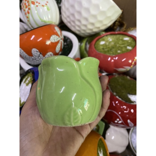 chậu sứ cắm hoa, cây cảnh mini nhiều mẫu giá thanh lí