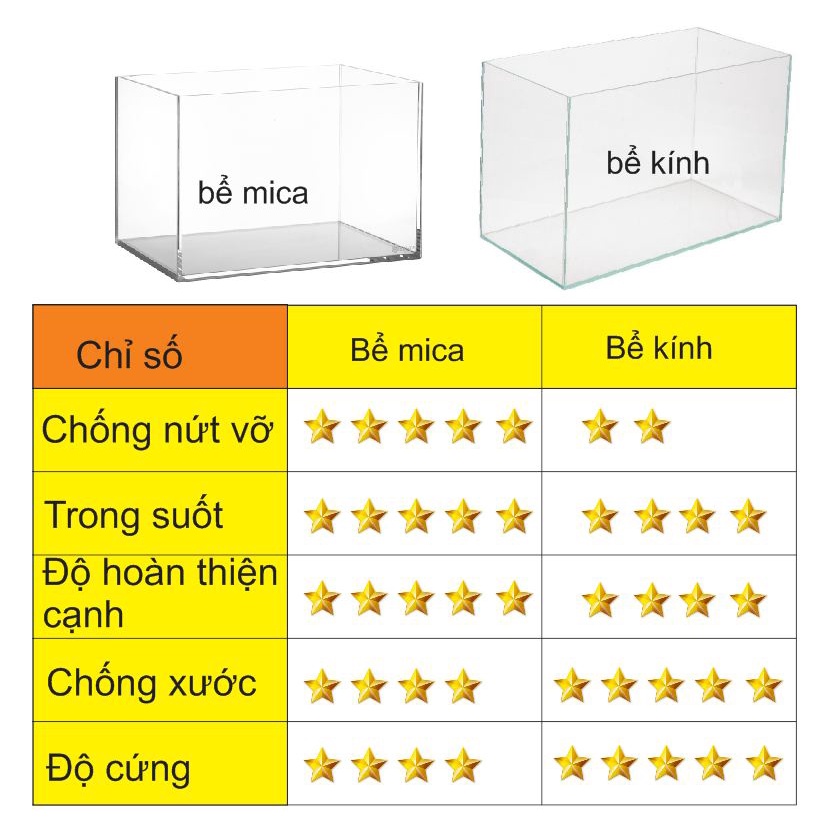 Bể cá mini thủy sinh chất liệu mica để bàn dài 24/ cao14/ sâu 12cm