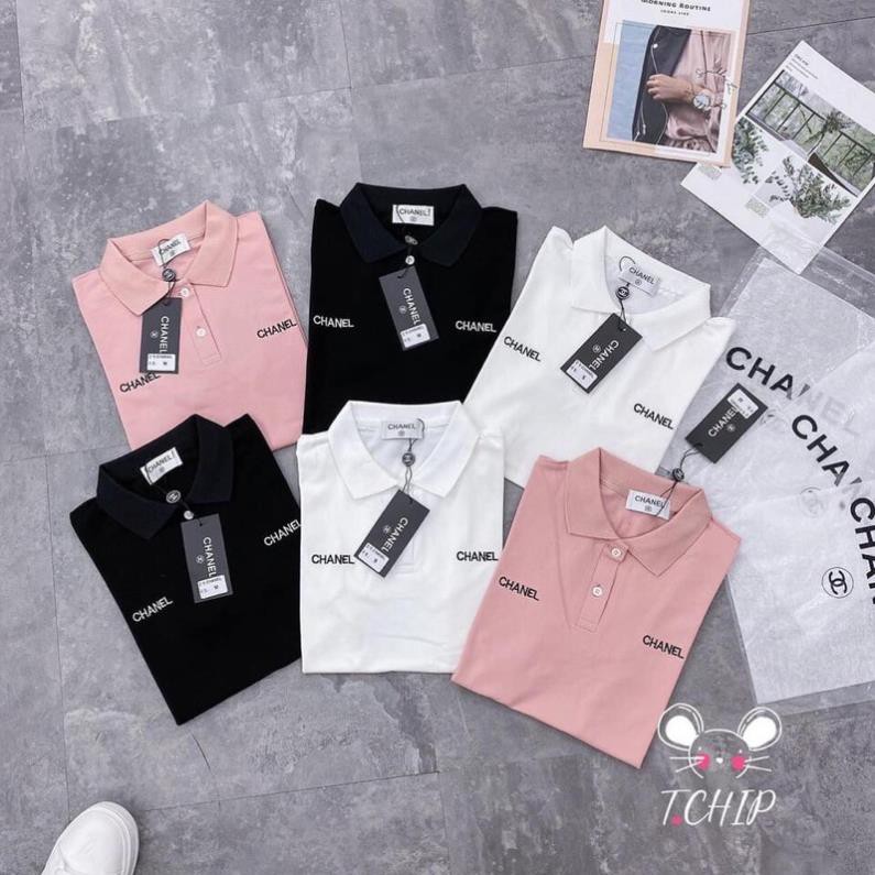Áo phông PO-LO chaneo có cổ 👕 ea