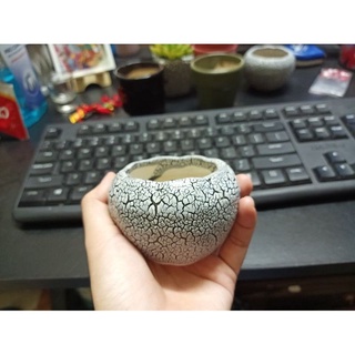 💠Chậu sứ nhặt ngẫu nhiên