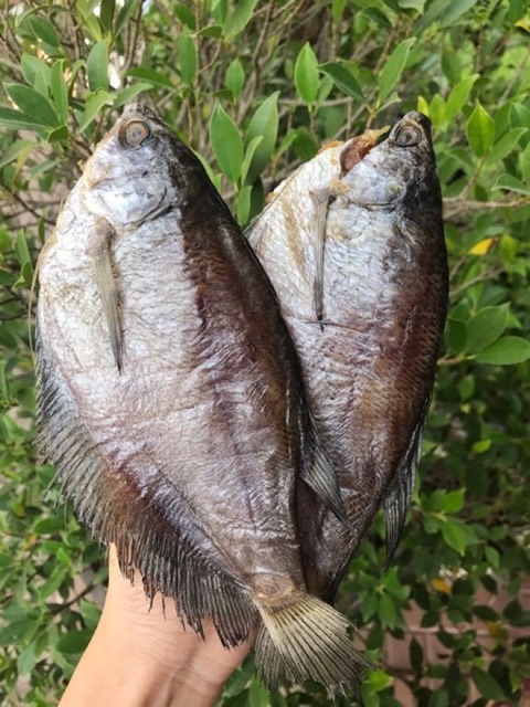 Khô cá sặc bổi Cà Mau - size 12-13 con/kg