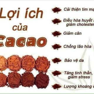 BỘT CA CAO NGUYÊN CHẤT 100%