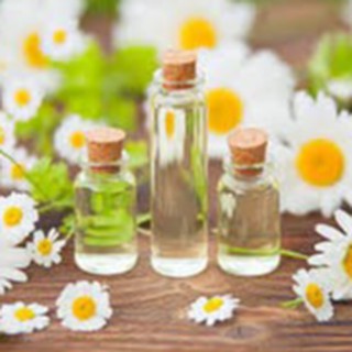 (HCM) CHIẾT XUẤT CÚC LA MÃ HỮU CƠ