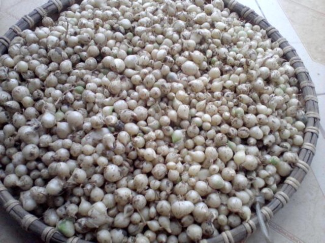 Sỉ 10kg tỏi cô đơn làm tỏi đen