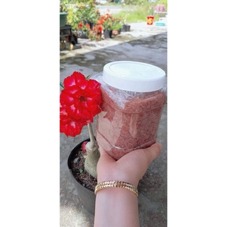 mắm ruốc chua