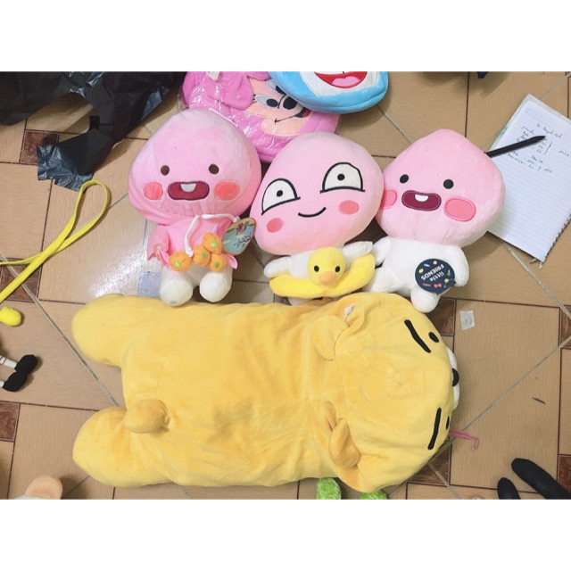 Gấu của Cẩm Hà