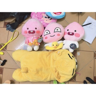 Gấu của cẩm hà