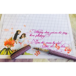 Bút ngòi G T05 ngòi lá tre chuyên viết chữ đẹp