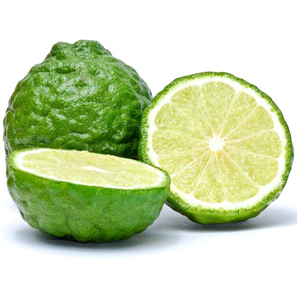 Hạt giống chanh Trúc _ Chanh não nhập khẩu nguyên gói Thái lan 5 hạt (Kaffir lime)