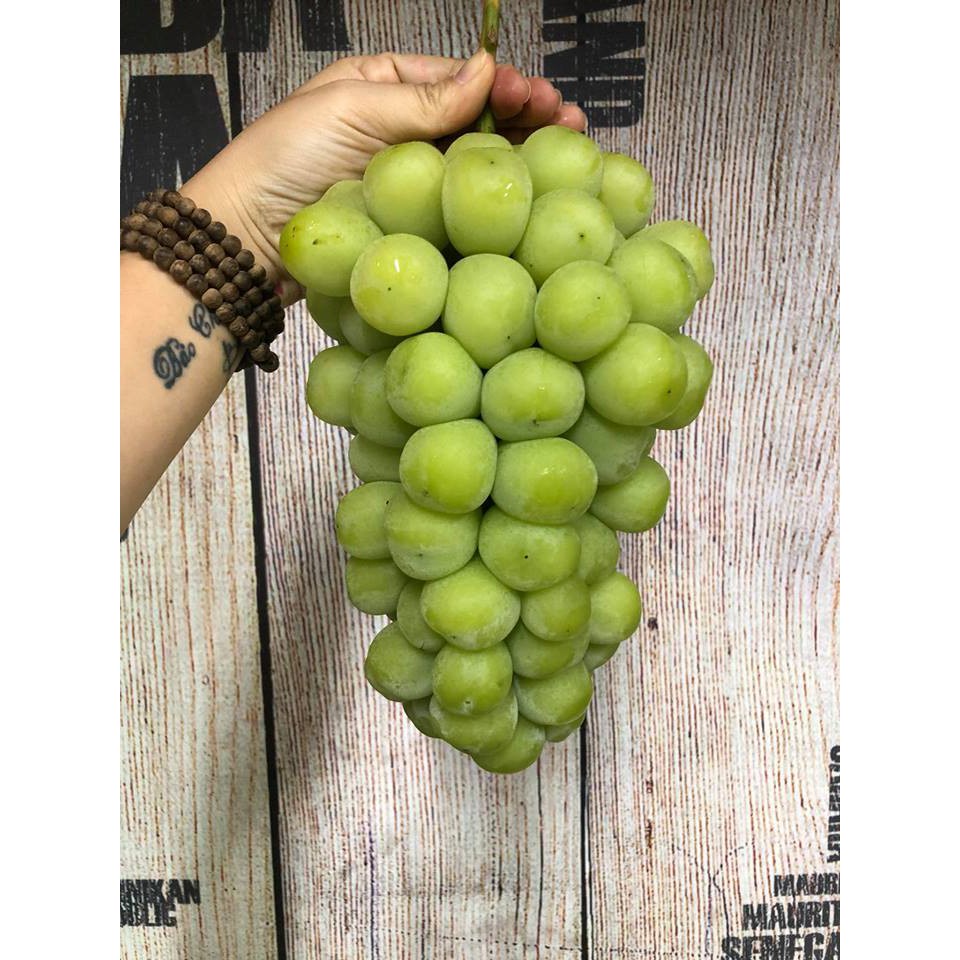 Cây nho giống mẫu đơn  có hướng dẫn trồng cây