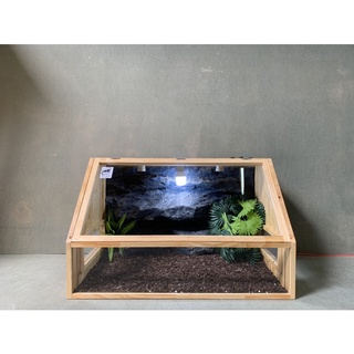Chuồng Bò Sát Mặt Kính Xéo 80x50x50