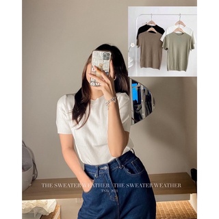 Áo LEN ĐŨA CỘC TAY cổ tròn basic ( Ảnh thật )
