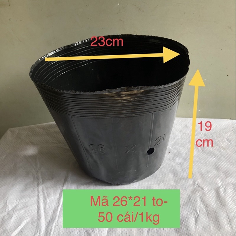 sét 200 cái bầu ươm cây mã  26*21to