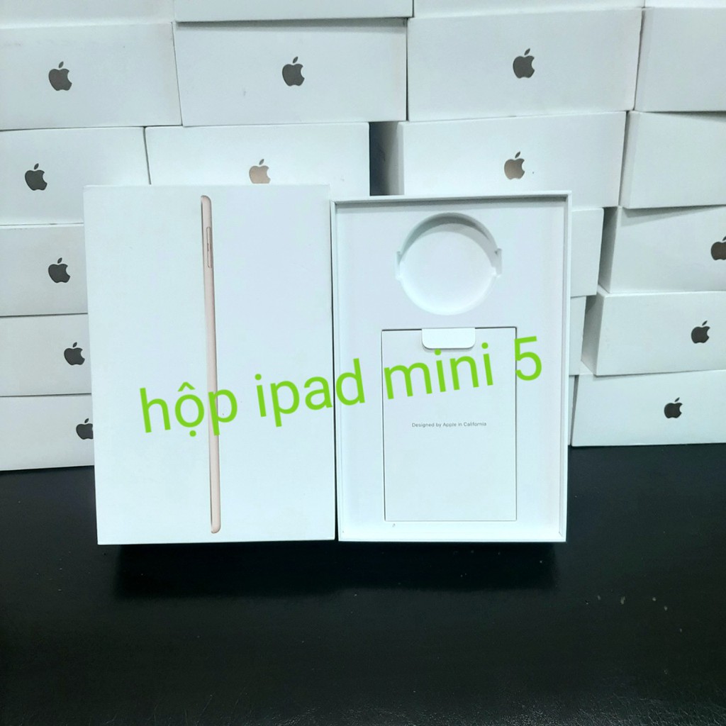 Hộp đựng ipad mini 5