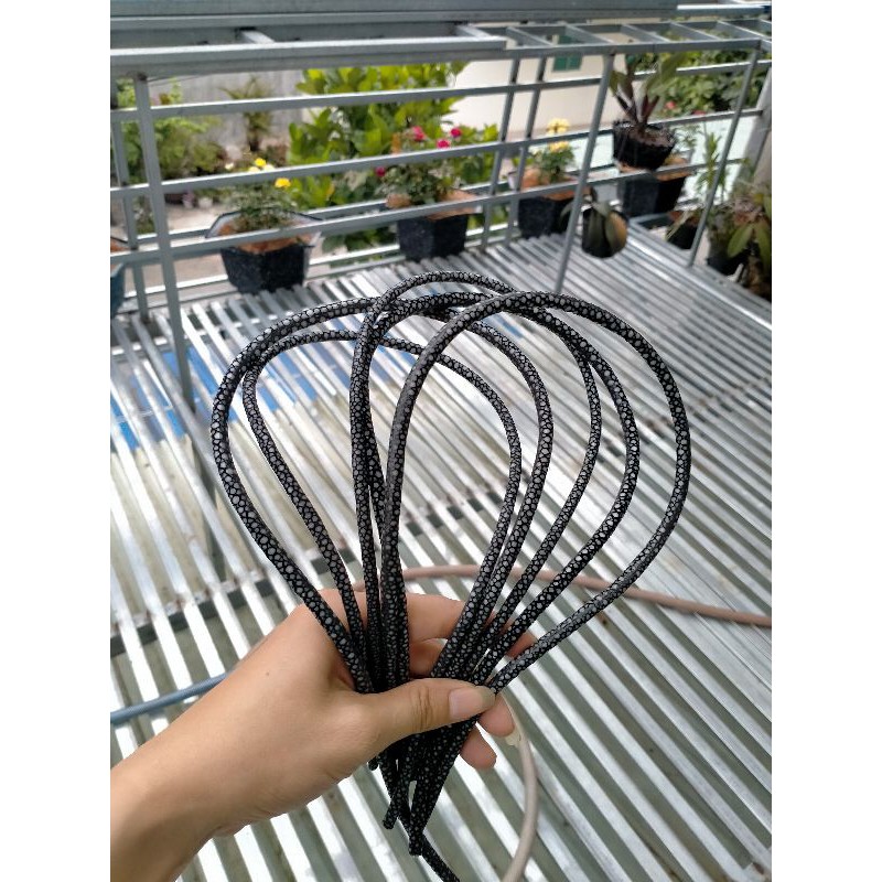 Dây vòng cổ cá đuối