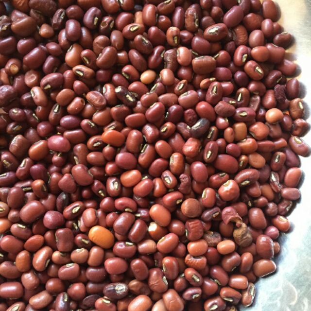 Hạt đậu đỏ nhỏ 1kg