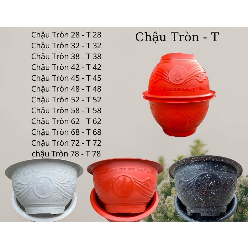 Combo 5 chậu t48 trồng cây kt miệng 48x cao 23cm