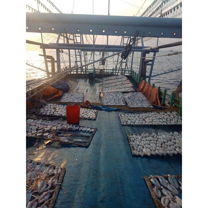 Mực khô câu Quỳnh Lưu 💥 SIÊU NGON 💥 mực khô câu đặc sản nghệ an, món ăn ưu thích trong nhiều gia đình ( loại 6-8con/1kg) | BigBuy360 - bigbuy360.vn