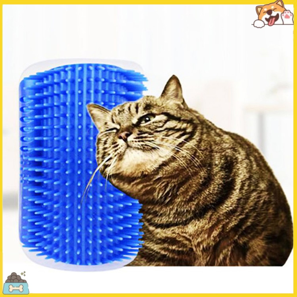 Lược Gắn Tường Massage Cho Mèo