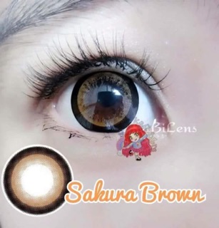 Lens vassen Sakura