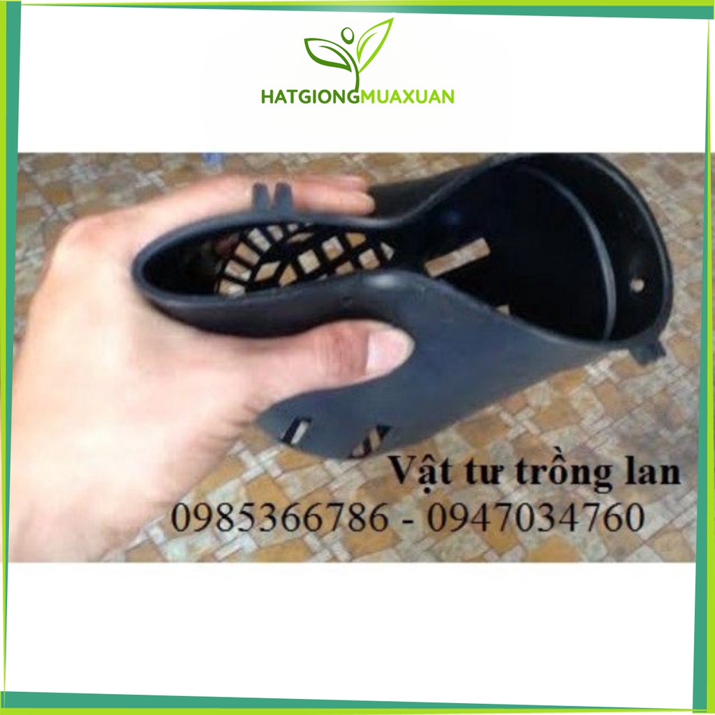 [SIEURE] 10 chậu nhựa đen trồng lan phi 21 hàng đẹp, phân phối chuyên nghiệp.