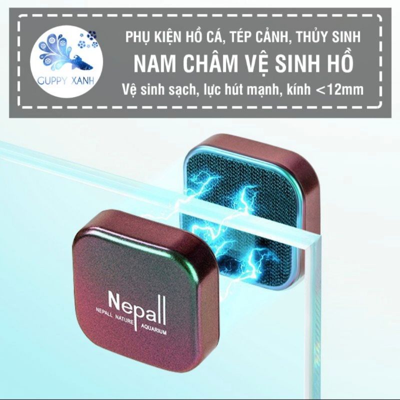 Hít chà hồ Nepall mini cho hồ thủy sinh, bể cá , vệ sinh thành kính cực kỳ hiểu quả và thẩm mỹ.