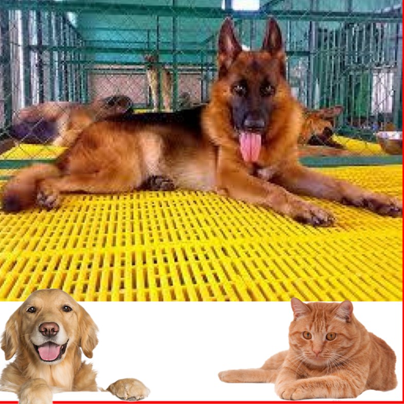 Hanpet - Tấm nhựa ghép sàn chuồng chó mèo (Loại 1) tấm ghép sàn chó sàn nhựa cho chó bảo hành 12 tháng