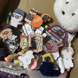 [p1] pass đồ kẹp áo, kẹp cặp, gắn lên dây giày … siu dễ thưn