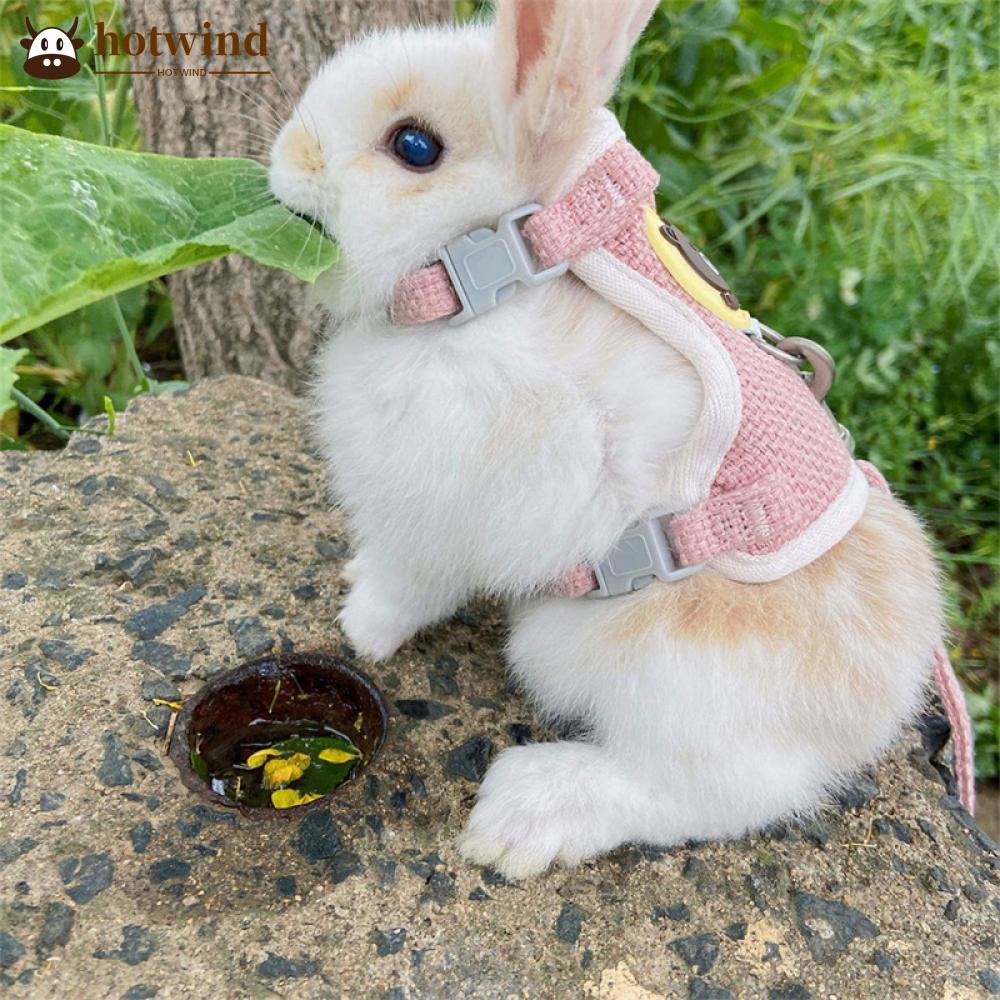 Áo Vest Lưới Có Dây Dắt Cho Thỏ/Chuột Hamster
