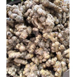 Củ gừng tươi Lào Cai (1kg)