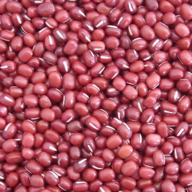 Đặc sản quê đậu đỏ hạt nhỏ