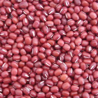 Đặc sản quê đậu đỏ hạt nhỏ