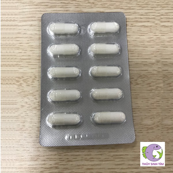 Sát khuẩn hồ tép Pranee Aquarium-1