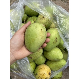1kg xoài cát chu