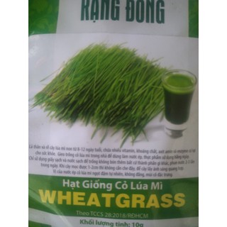 Hạt giống cỏ lúa mì