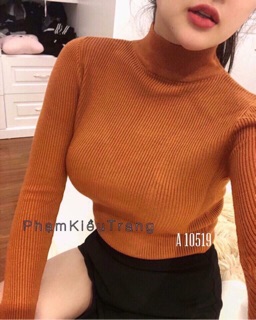 Áo len tăm cổ cao 5P (8101#)