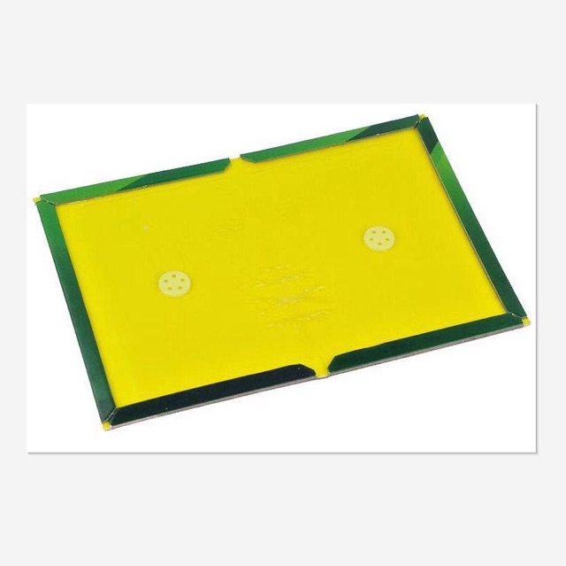 Combo 10 keo dính chuột , côn trùng