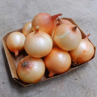 【HTĐL】Hành Tây Đà Lạt loại 1- nông sản Mộc Mộc 1kg/500gr
