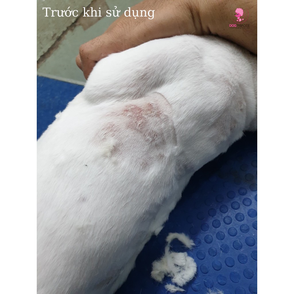 Dung dịch tr.ị nấm cho mèo Flucasol chai 5ml - Dog Paradise